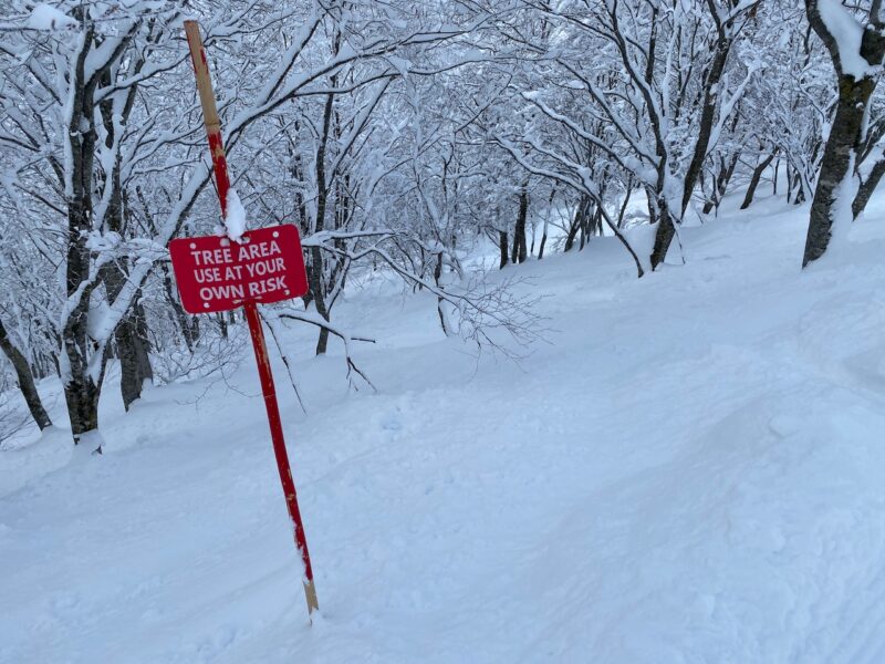The Hakuba Valley, Japan. Image © PlanetSKI
